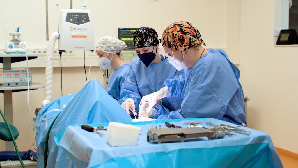 Chirurgie Operation Tiermedizin